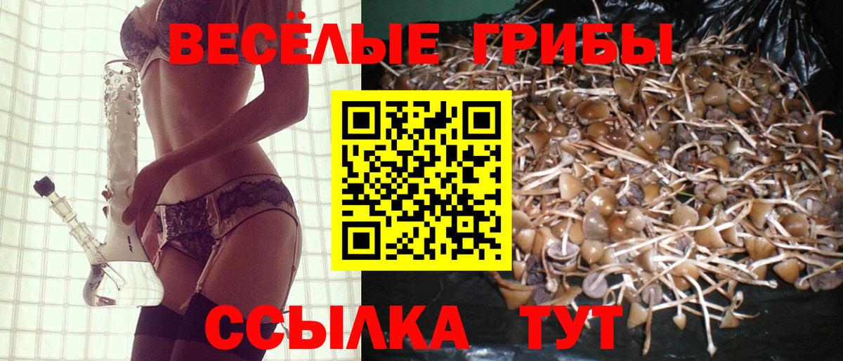 Красноярск  закладки  Вход с VPN  Галлюциногенные грибы GOLDEN TEACHER 